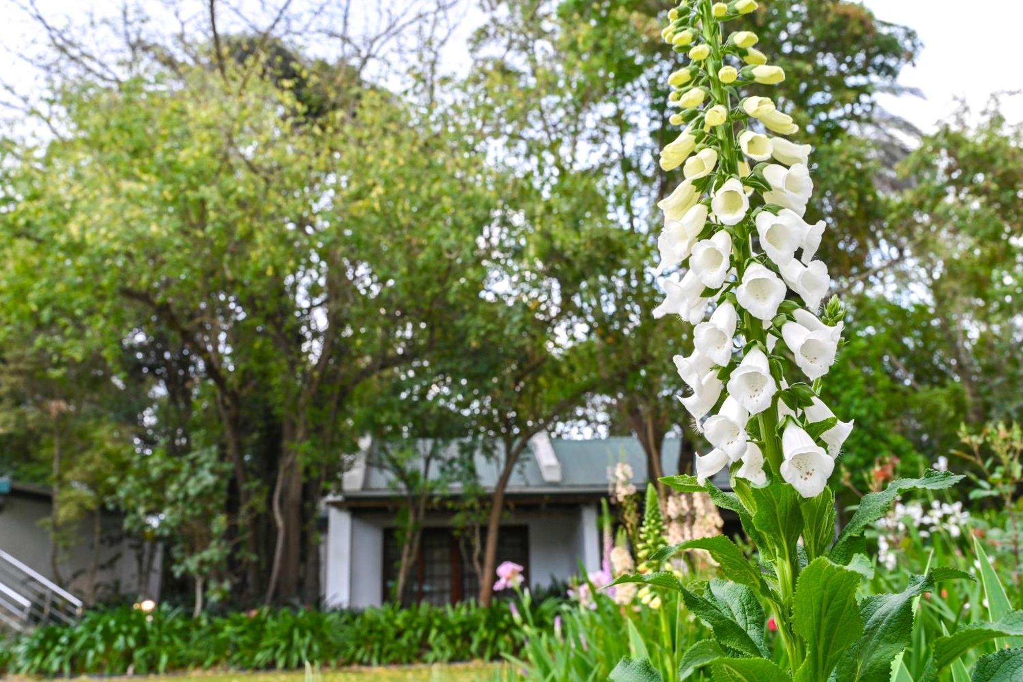 Woodall Country House And Spa Addo Exterior foto